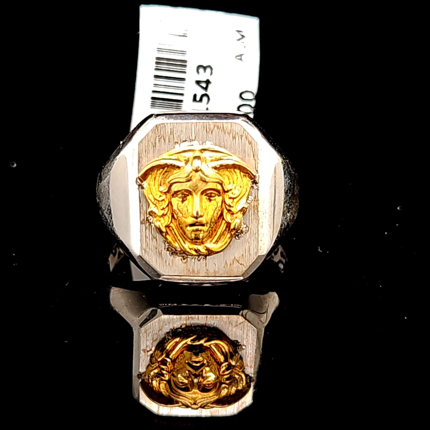SILVER MEDUSA